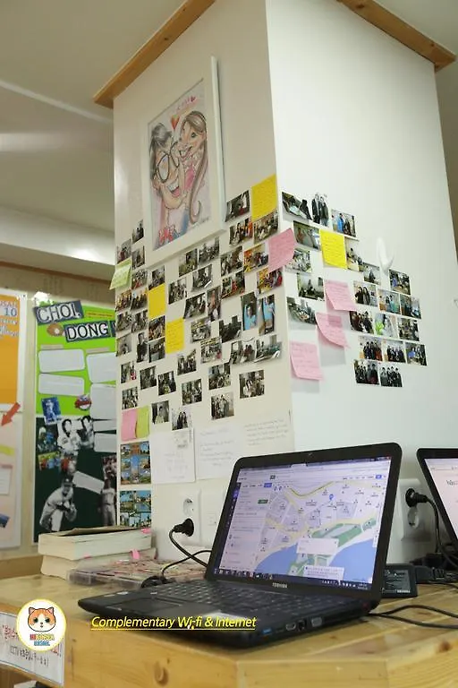 Hostel Hi Korea Guesthouse Busan South Korea