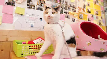 Hi Korea Guesthouse Busan South Korea